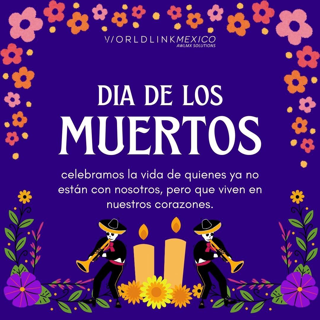 WorldLink México (@WorldlinkMX) / Posts / X