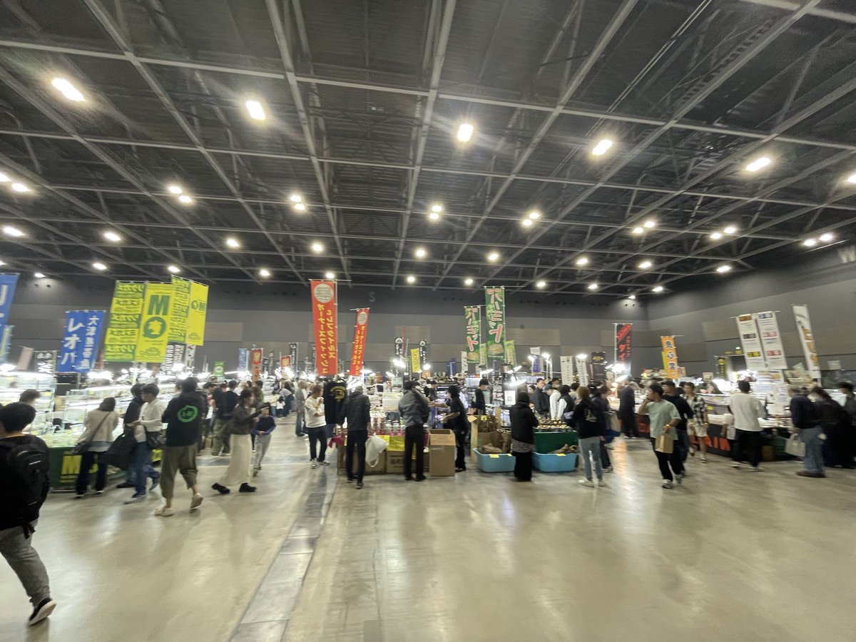 爬虫類フェス（九レプ、広レプ） tweet media