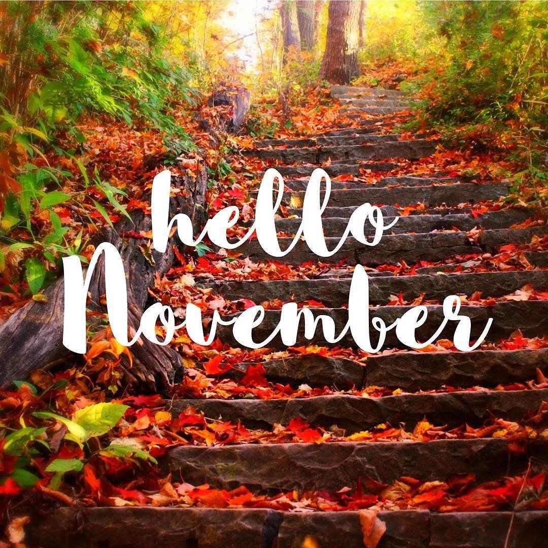 vicsm1980's tweet photo. #hellonovember🎆 https://t.co/8s8A7Dtv5P