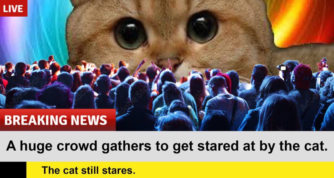 There is no better time to onboard diamond hand holders to $STARECAT than now.

Volume is low, the trenches are still slow, market is still recovering from the liquidation event on 10/10.

Take this time to have fun. Continue to raid, DM, and onboard people that want to believe