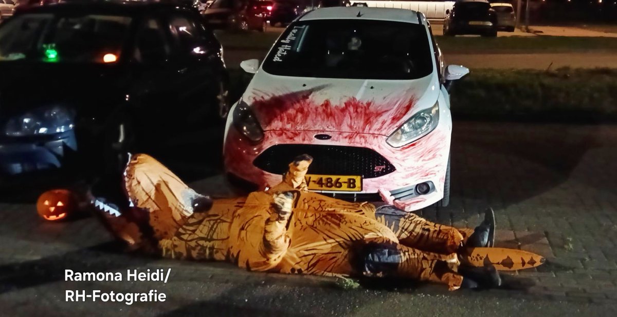 Ramona Heidi Op' t Holt tweet media