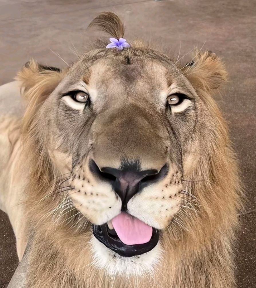 What's wrong with him