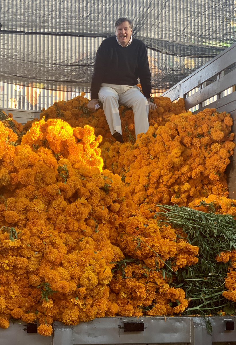 The dead are never gone as long as they are remembered. Day of the Dead/Día de Muertos 💀🇲🇽🇺🇸