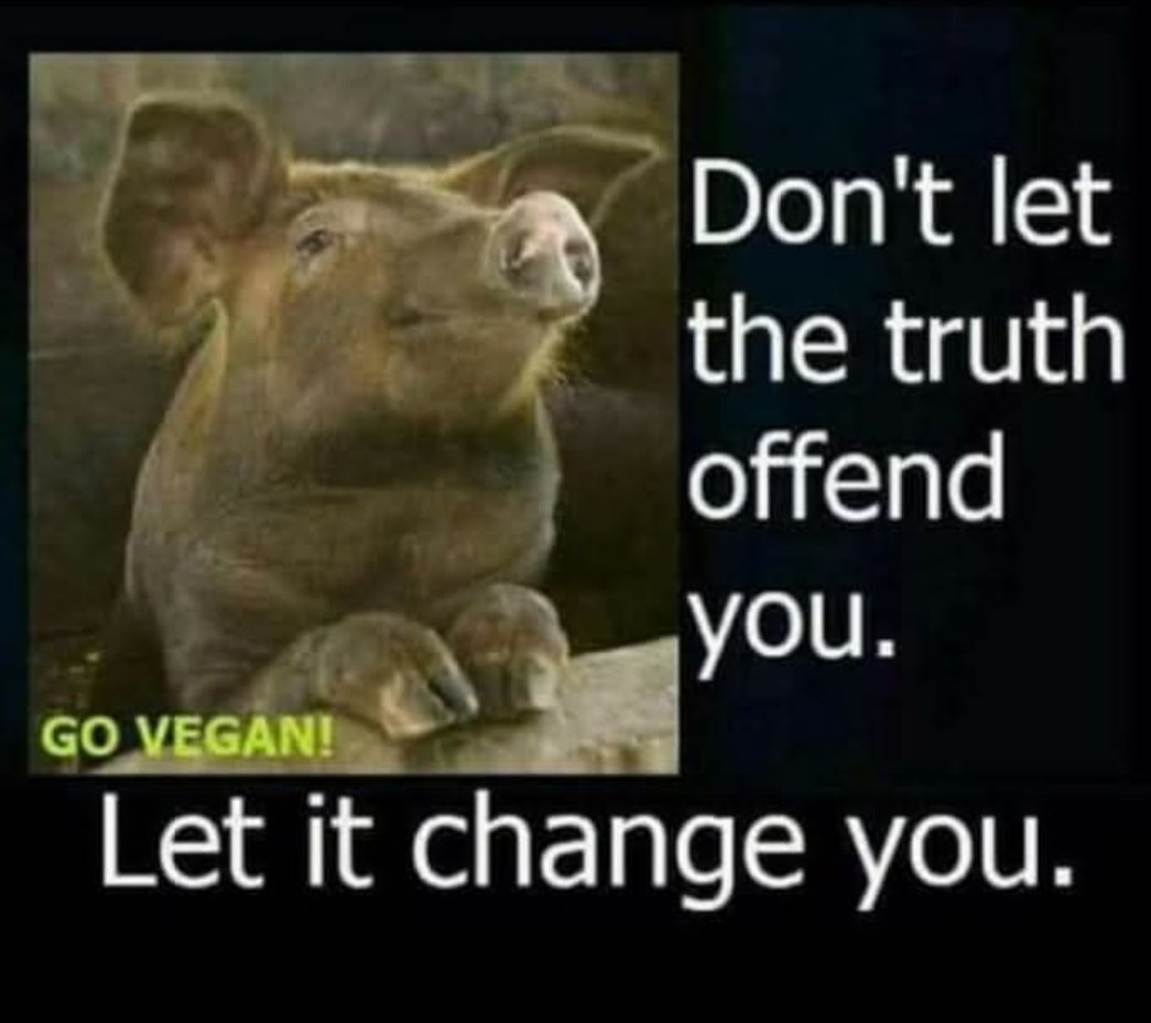 RavenTW's tweet image. You don&apos;t have to be programmed and conditioned to support extreme animal cruelty with your everyday choices. You do have a choice. Break the programming and love animals instead of making them your victims...
#BreakTheProgramming, #govegan, #animalliberation, #ditchdairy