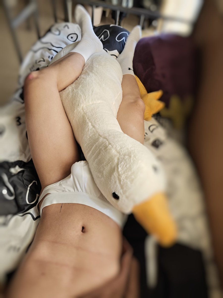 大鹅大鹅我爱你～