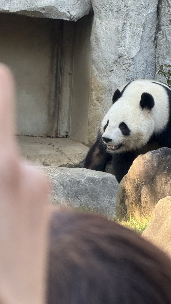 Meee様 Hoses to fuel tankNeed help. | Ducati Monster Motorcycle