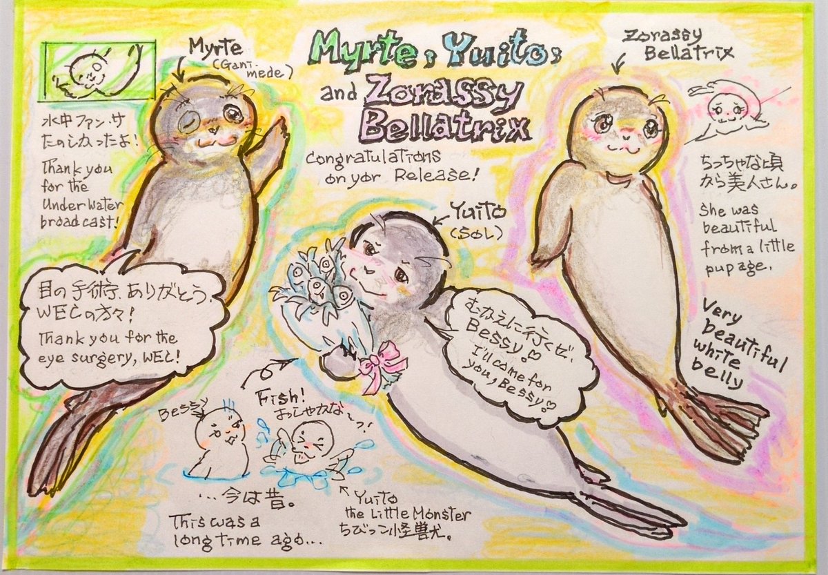 お客ページ【ミィ 様】 みおな on X