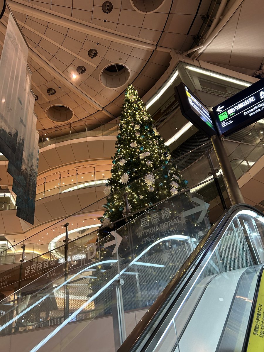 今日から　もう羽田クリスマスツリー出てた🎄🎄🎄

毎年ツリー初めて見るの羽田な気がして毎回

「え、もうクリスマス…ハロウィン終わった途端　世の中クリスマスバージョンなんだな…

もう年末になってくの早いな…」って思ってる気がする🙄🙄🙄🤷‍♀️🤷‍♀️🤷‍♀️