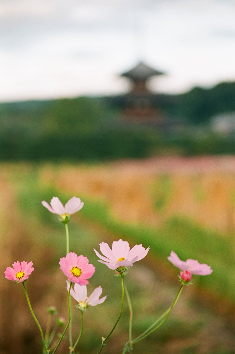 かずにゃn。（謎） on X