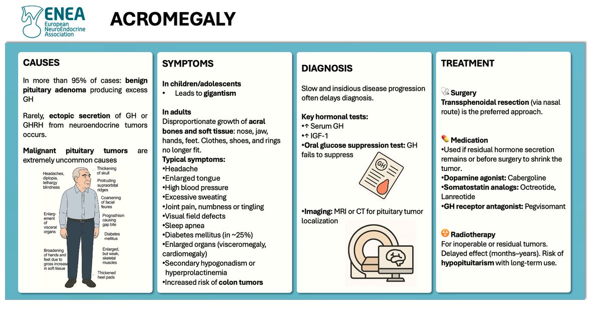 ENEA_Young's tweet image. 🧠 Today is #AcromegalyAwarenessDay — a reminder that subtle changes can hide a serious diagnosis. Early detection saves lives.

🔗 More on LinkedIn: @enea-young-researcher-committee