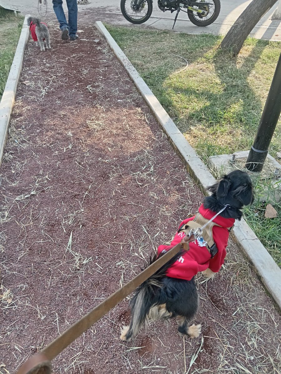 Buenos días amikos ya llegamos a entrenar, que tengan un gran día todos