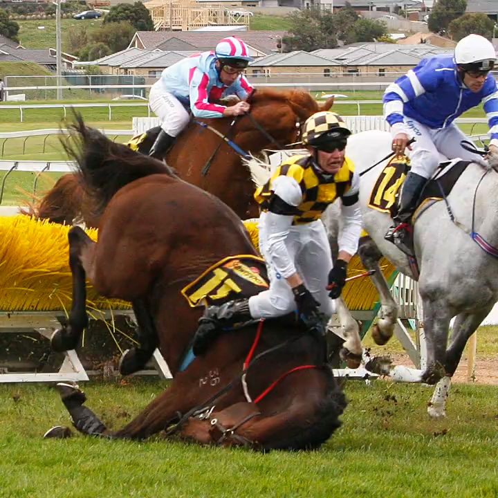 Cat_Kapow's tweet photo. 151 Horses Died on Australian Racecourses in 2023-24 Season. The Coalition for the Protection of Racehorses (CPR) published the DeathWatch Report.
This equates to 3 #horses being killed on track every week, and this is only the deaths that CPR can confirm
#nuptothecup #melbcupπ https://t.co/ZFPsaJcOzv