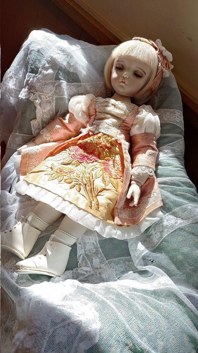 肉球付 (@299nk) on Twitter photo 