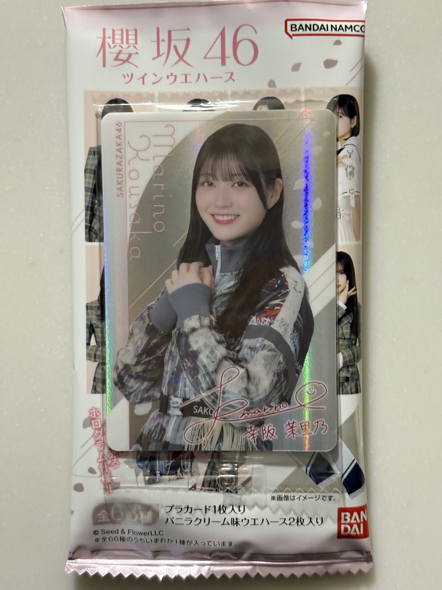 🐭シニアリトルヤホス on X