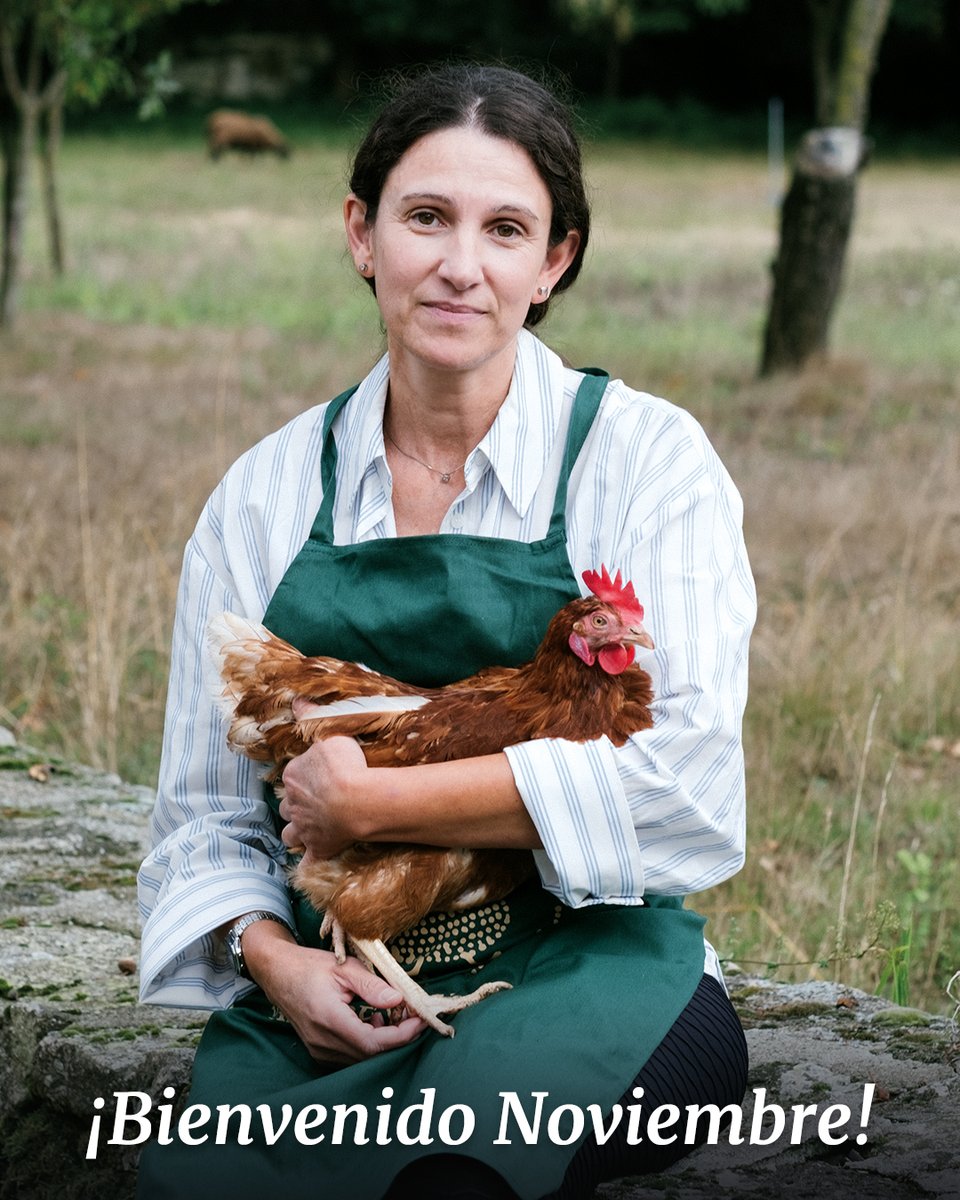 PazodeVilane's tweet image. 🍂Entre hojas caídas y cielos grises, nuestra compañera Patricia abraza con ternura a una de nuestras gallinas para darle la bienvenida al nuevo mes. 🐔

¡Feliz Noviembre! 

#PazoDeVilane #BienestarAnimal #HuevosCamperos #CrianzaEnLibertad
