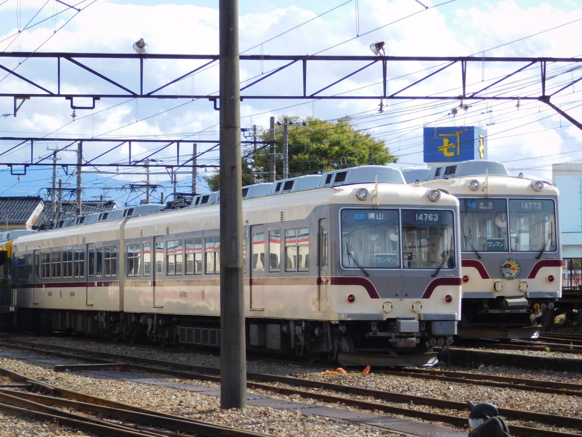 まぐろてゃん 🐤しのまる🐤 on X