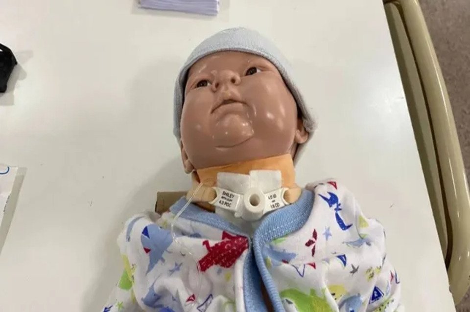 radiolt10's tweet image. #InteresGeneral | Estudiantes crearon un prototipo traqueal para pacientes pediátricos
👉lt10.com.ar/noticia/480496…