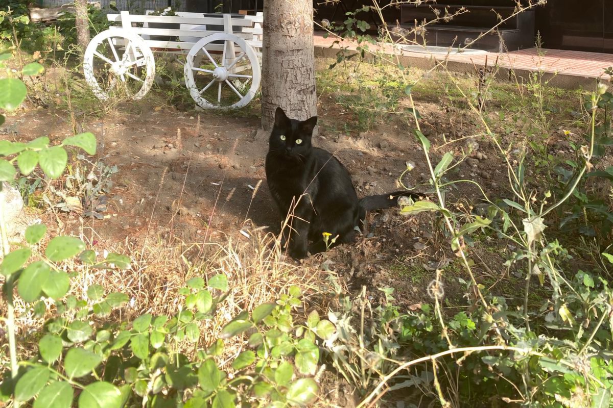 Günün güzeli :)
#iyiakşamlar