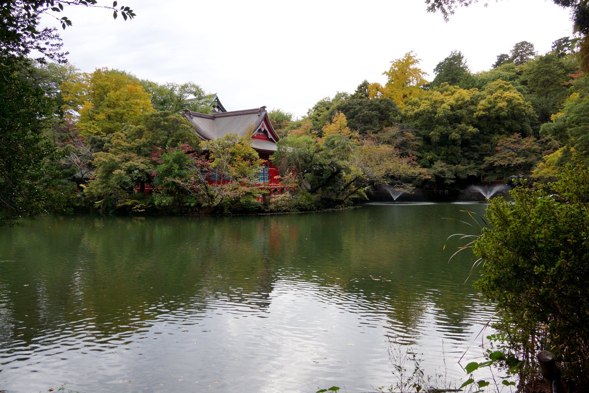 tosy1226 (@Tosy1226) / Posts / X