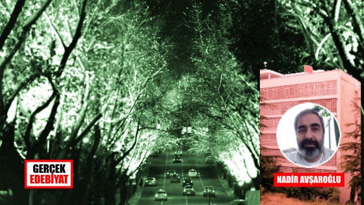 Cinnah No 19
gercekedebiyat.com/yazi-detay/cin…