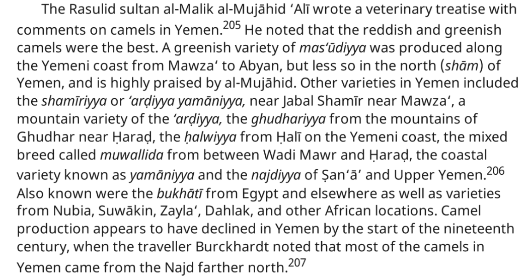 البـربـراوي tweet media