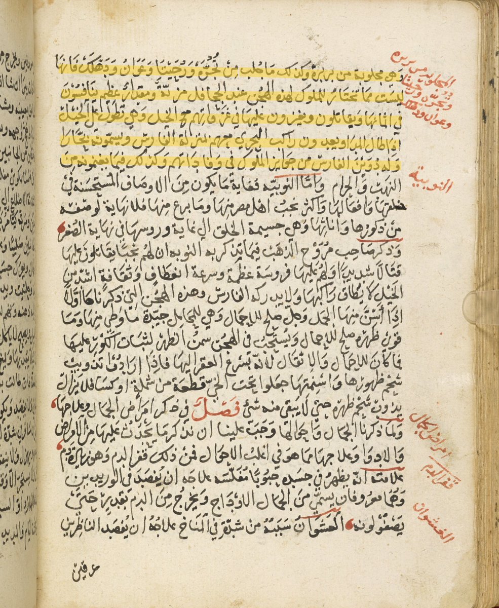 البـربـراوي tweet media