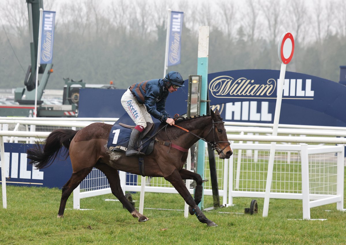 Djelo WINS the bet365 Charlie Hall Chase! 🎉