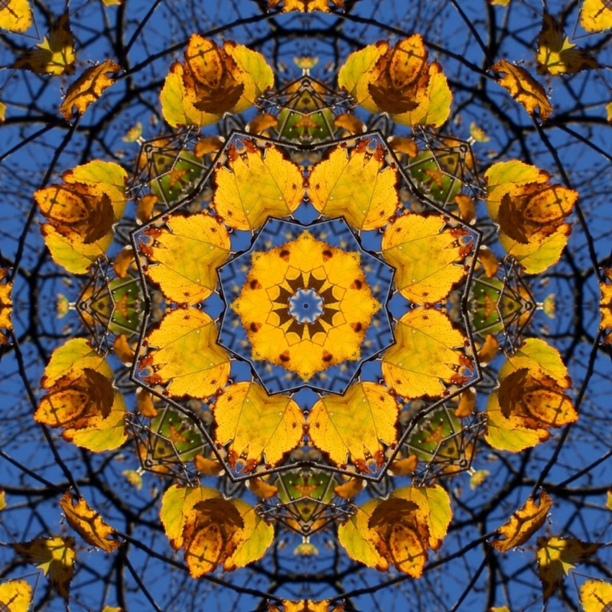 ameliorate_d's tweet image. #KaleidoSaturday