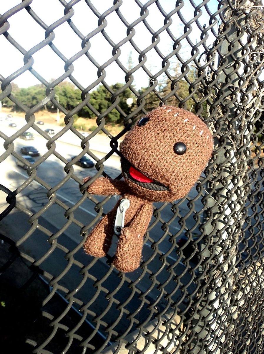 sackboy daily tweet media