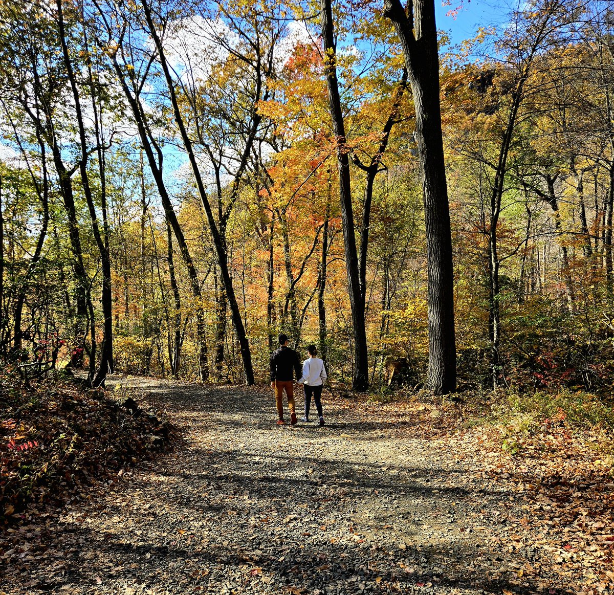 The falling leaves drift by the window
The autumn leaves of red and gold...

And soon I'll hear old winter's song...
When autumn leaves start to fall

Nat King Cole

#FallVibes 
#SaturdayVibes 
#WeekendVibes