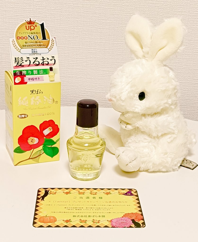 紙 6月VIP 10%off中) メル25773です❣️0621 2021 Kawasaki ZX636HMFNL