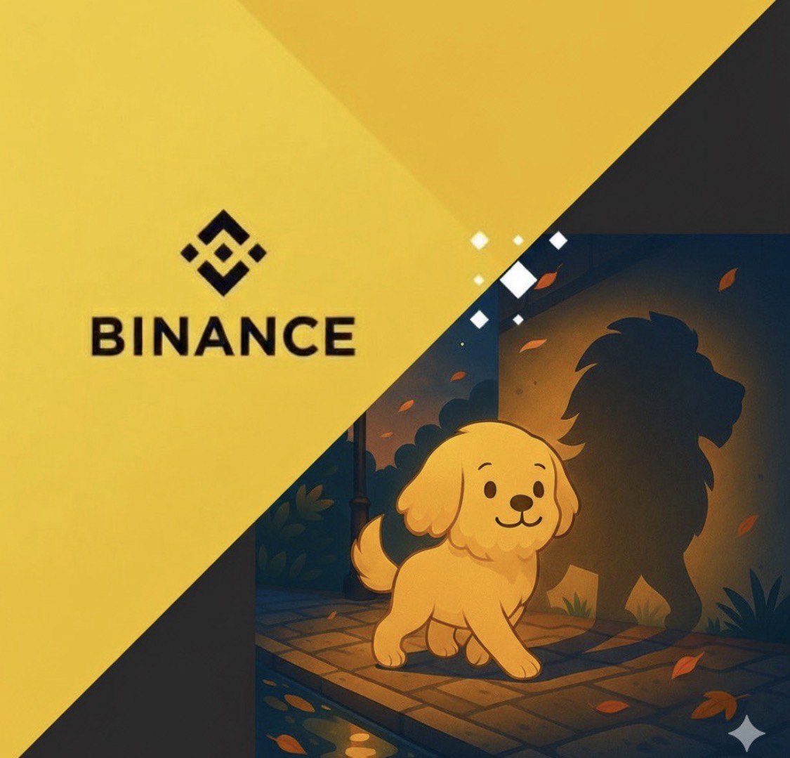 ShihBSC's tweet image. $Shih Tzu growing more everyday, we&apos;re building.
#BNBChain