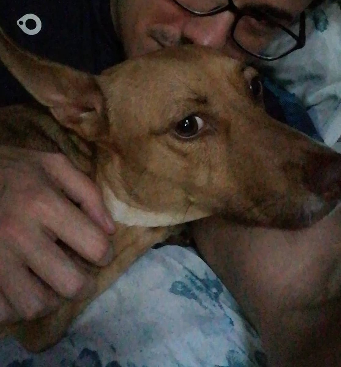 Sr.Nutriales tweet media