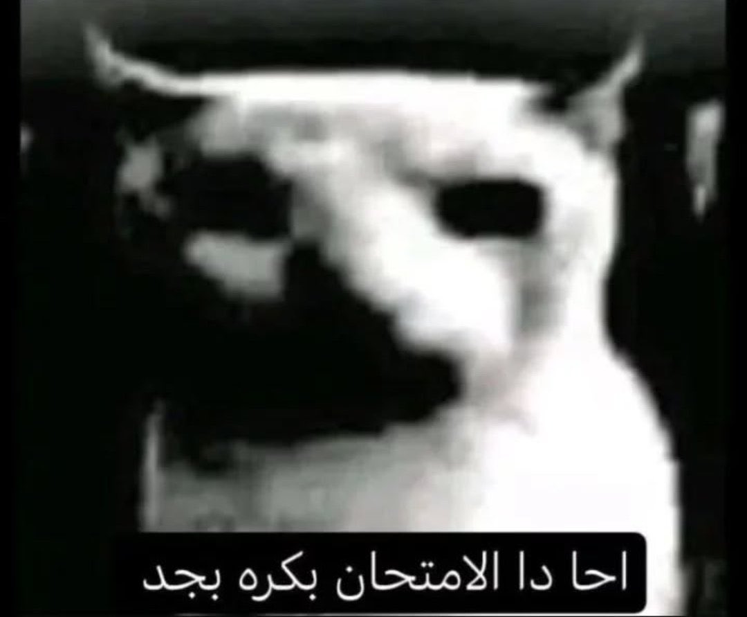 • . • (@n0t_ahmd) on Twitter photo 