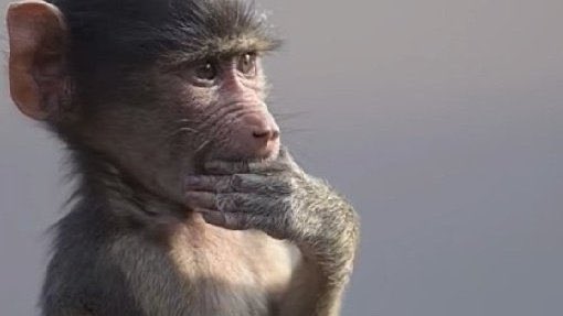 Gadet3's tweet image. عاد لكن يا دكتور نخلي السكر كيف ؟؟ و الباسطة دا ح يأكلوا منو 🥸