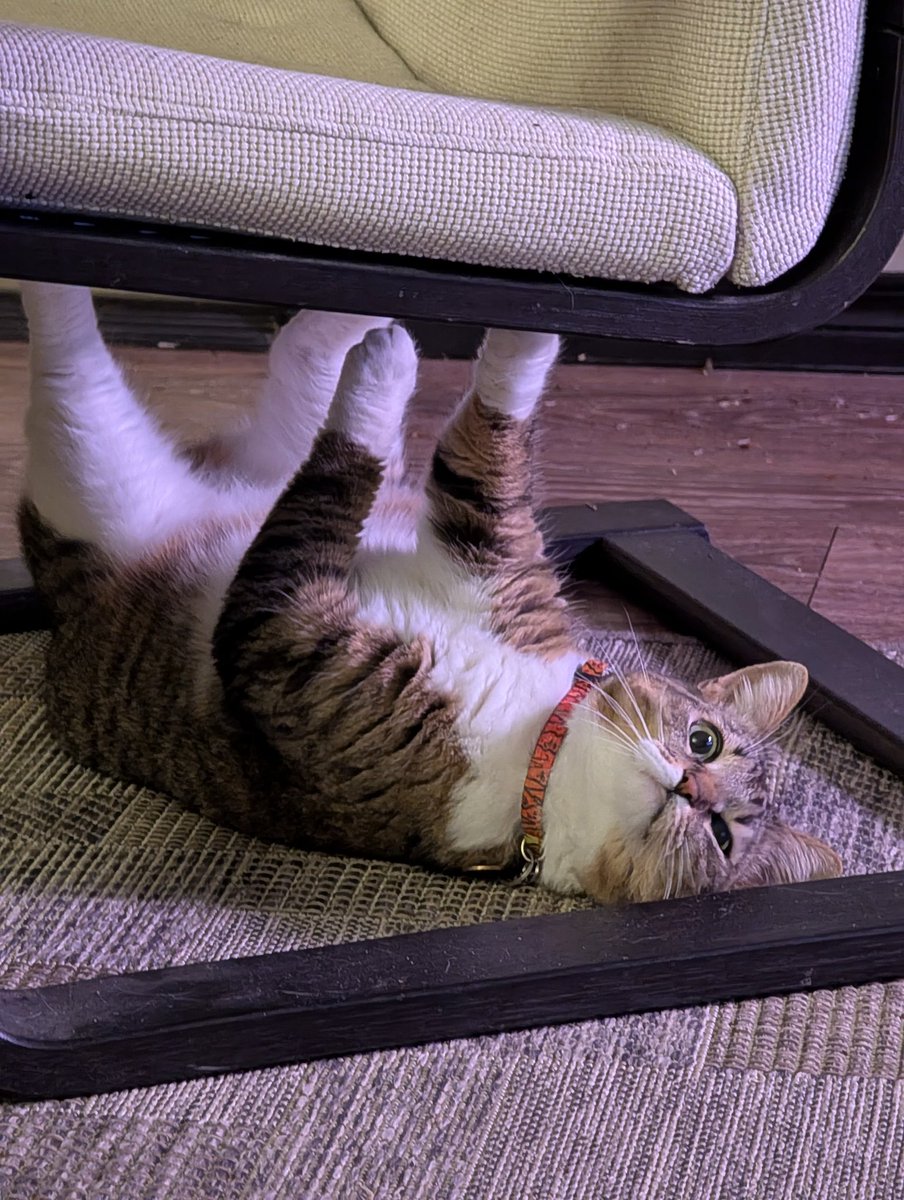 Проводит время