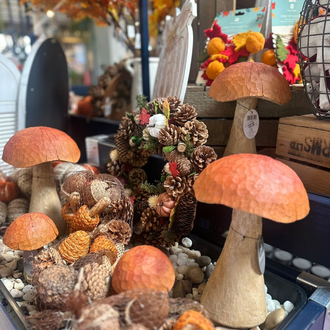 LeonardsleeG's tweet photo. Celebrate the beauty of autumn with us at the Garden Shop &amp; Plant Centre! Our seasonal range offers delightful gifts for everyone. Experience a serene shopping atmosphere with 45 minutes of complimentary parking. We can't wait to welcome you!  #GardenShop #GiftIdeas #Autumn https://t.co/t0as16doCm