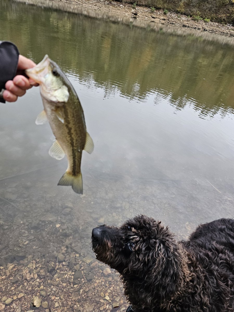 SkootEricius's tweet photo. Fishing in the morning, Razorback football in the afternoon.
WPS!
#dogfish https://t.co/ObQGhaklDE