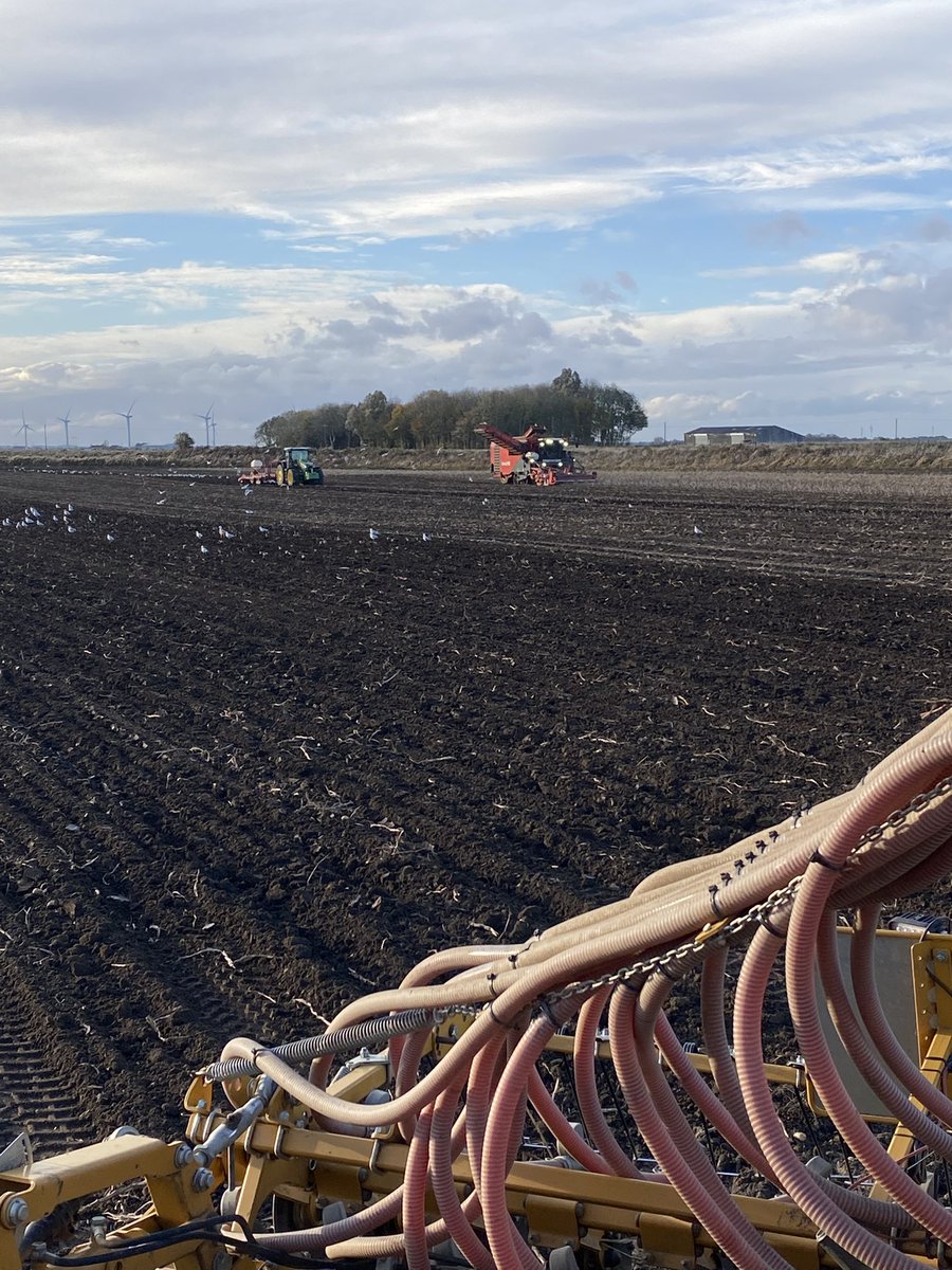 Chris White tweet media