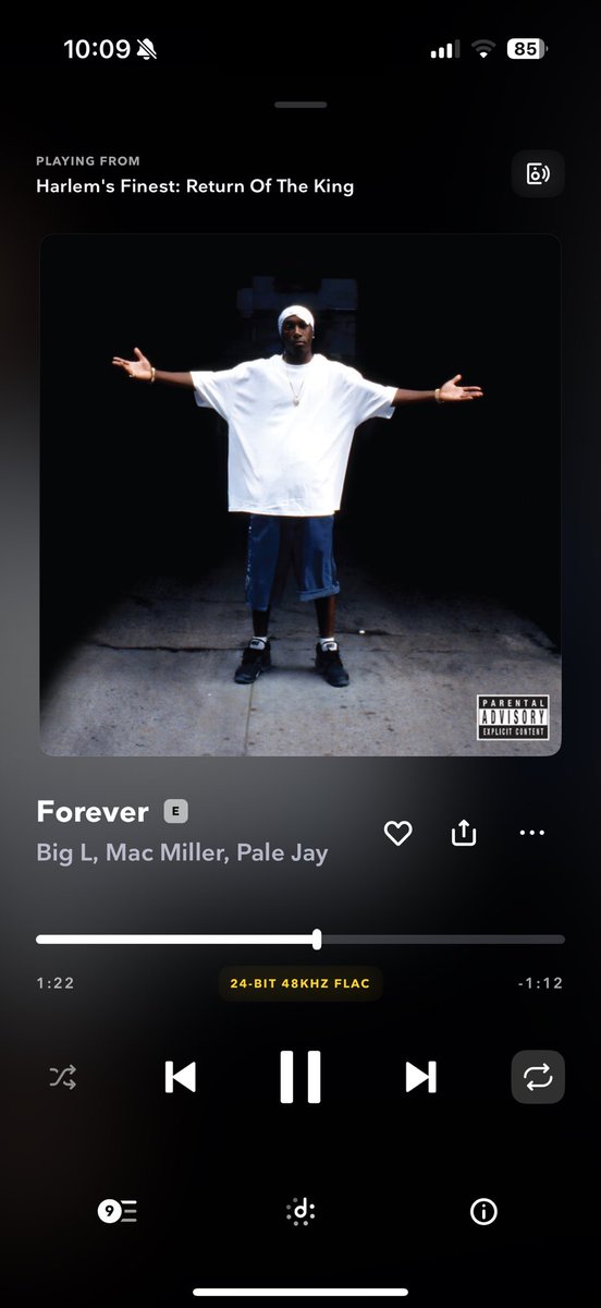 I fuck wit this new Big L