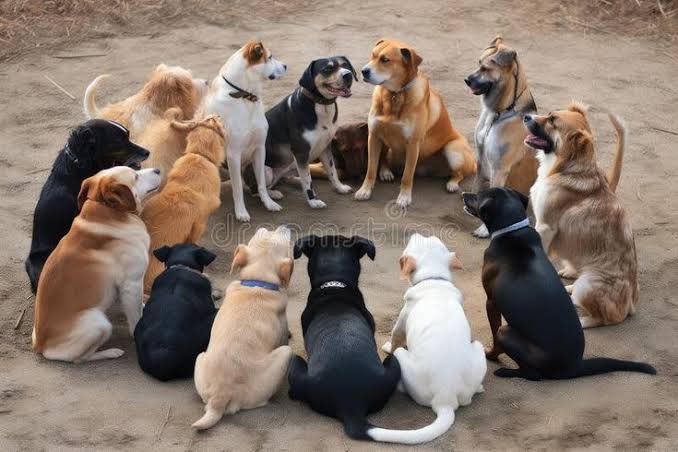 "अगामी चुनाव को लेकर महागठबंधन का मीटिंग"