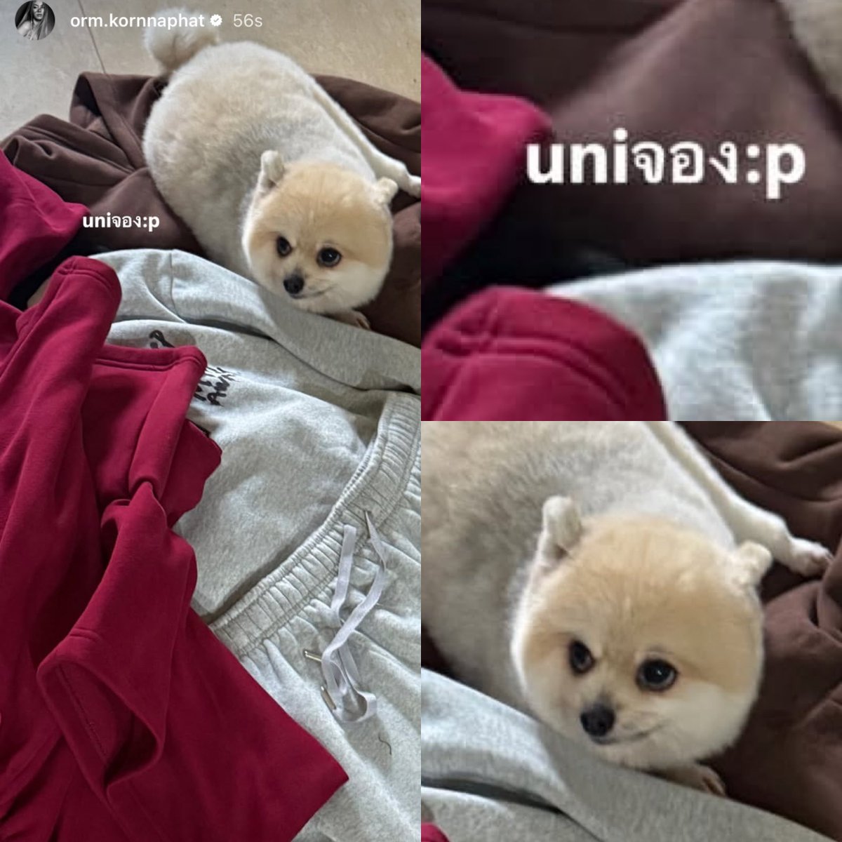 ว้ายยยยยย คุณหนูอูนิเข้าเฟรมค่าา เอ็นดูมากก เอ๋ แต่ลายเสื้อคุ้น ๆ Keepsilent คอลใหม่ !?