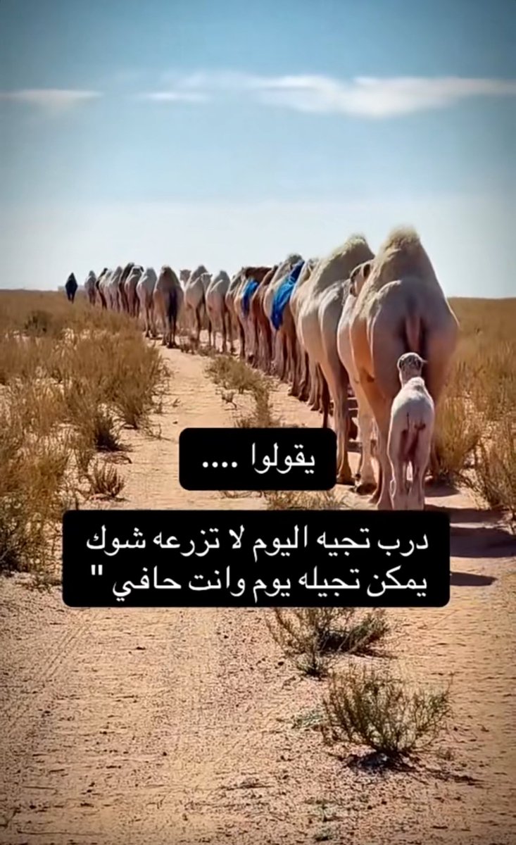 م/ مُحب للوطن🇸🇦 tweet media