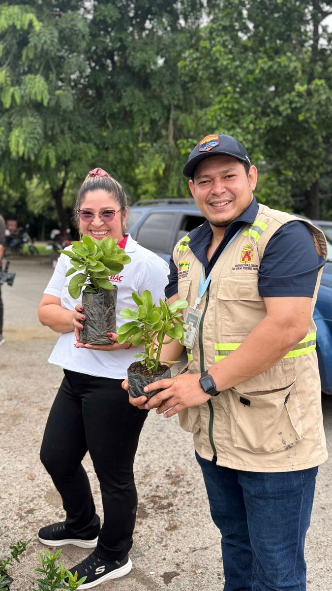 Última entrega de árboles en San Pedro Sula 💚🌳