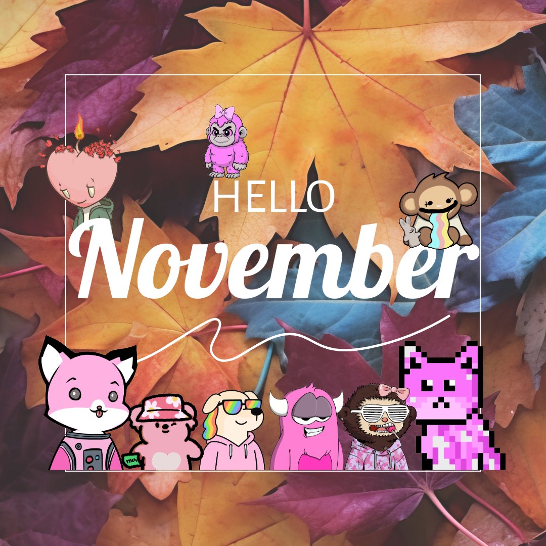 GM GM 🩷

Hello November 🍁🍂

Hope this month is filled with success for everyone