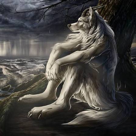 I’m just glad I got born with the autism that makes me play WW2 map game and not the kind where I make videos where I scream at a kids cartoon or Family Guy