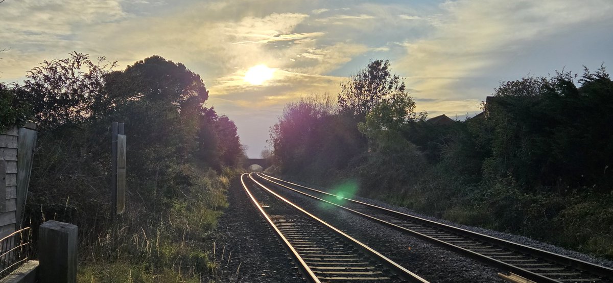 Leigh Stanfield tweet media