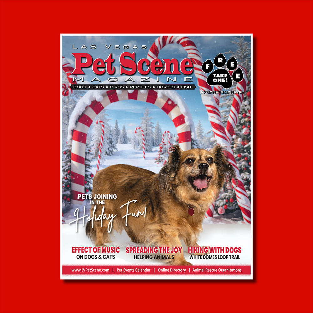 Las Vegas Pet Scene tweet media