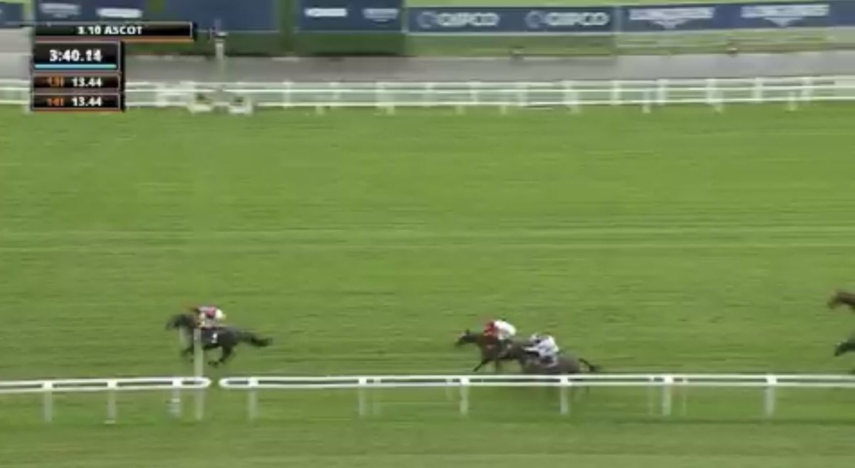 the racing newsletter tweet media