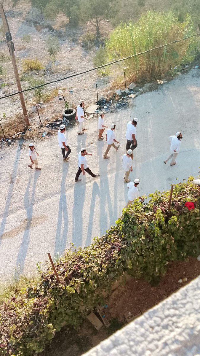 Israeli settlers stormed the village of Burin, south of Nablus, in the occupied West Bank.